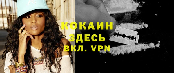 дурь Ельня