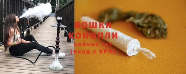 дурь Ельня