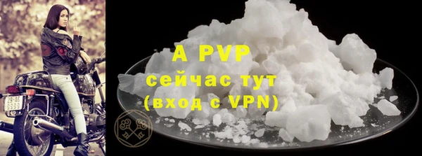 дурь Ельня