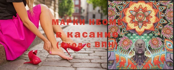 дурь Ельня