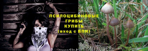 дурь Ельня