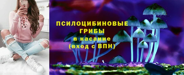 спиды Елизово