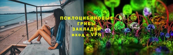 ГАЛЛЮЦИНОГЕННЫЕ ГРИБЫ Данков