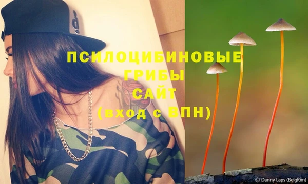 дурь Ельня