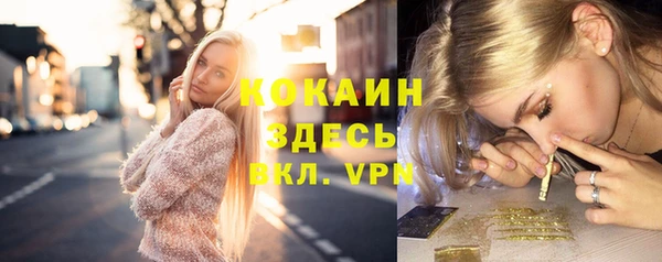 дурь Ельня