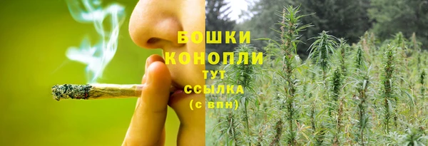 винт Елабуга